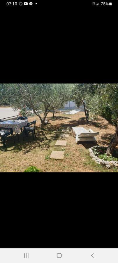 Apartman Marija بيبينيا المظهر الخارجي الصورة